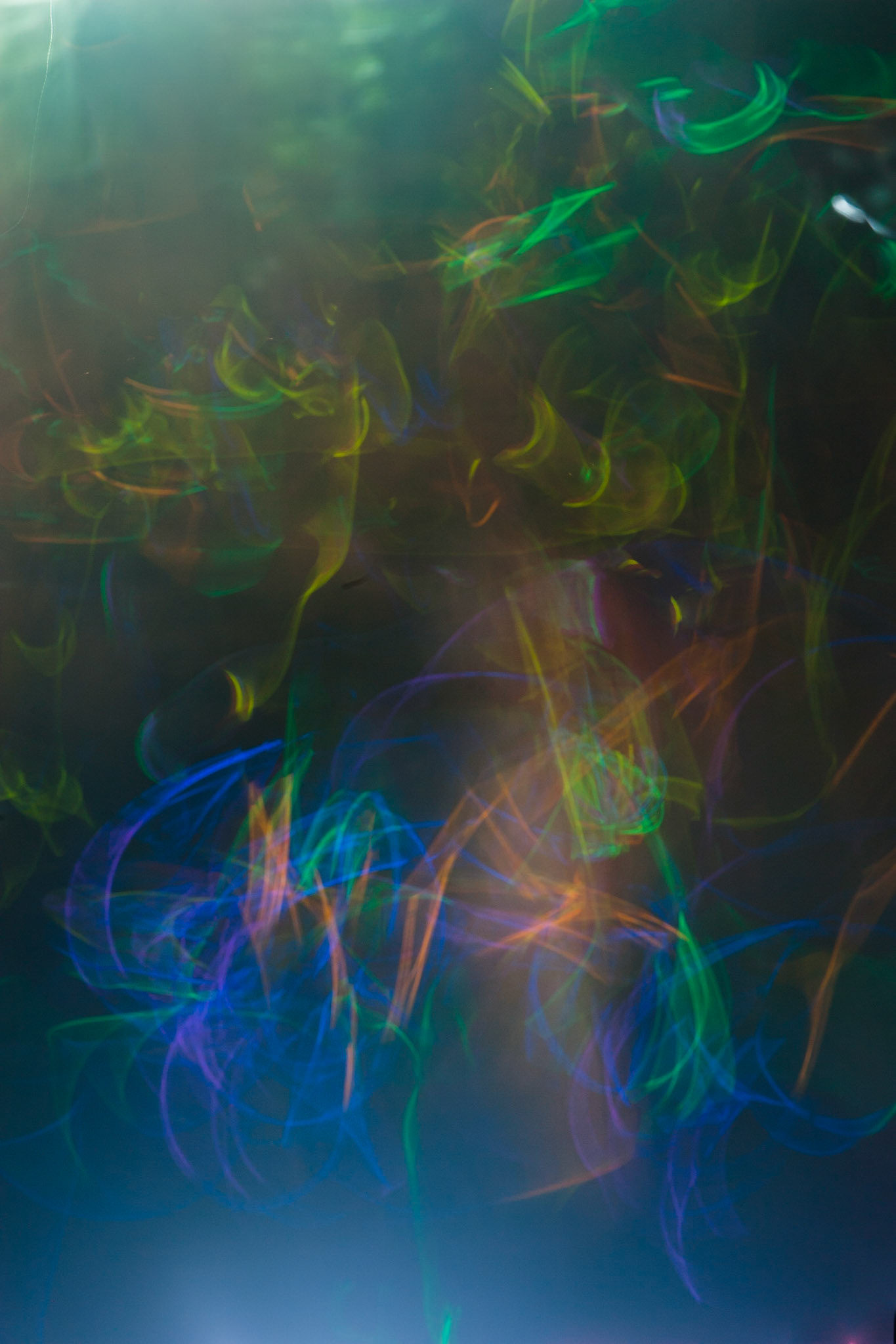 A young lady, lit by the light of a cylume, National Botanic Gardens, Sydney