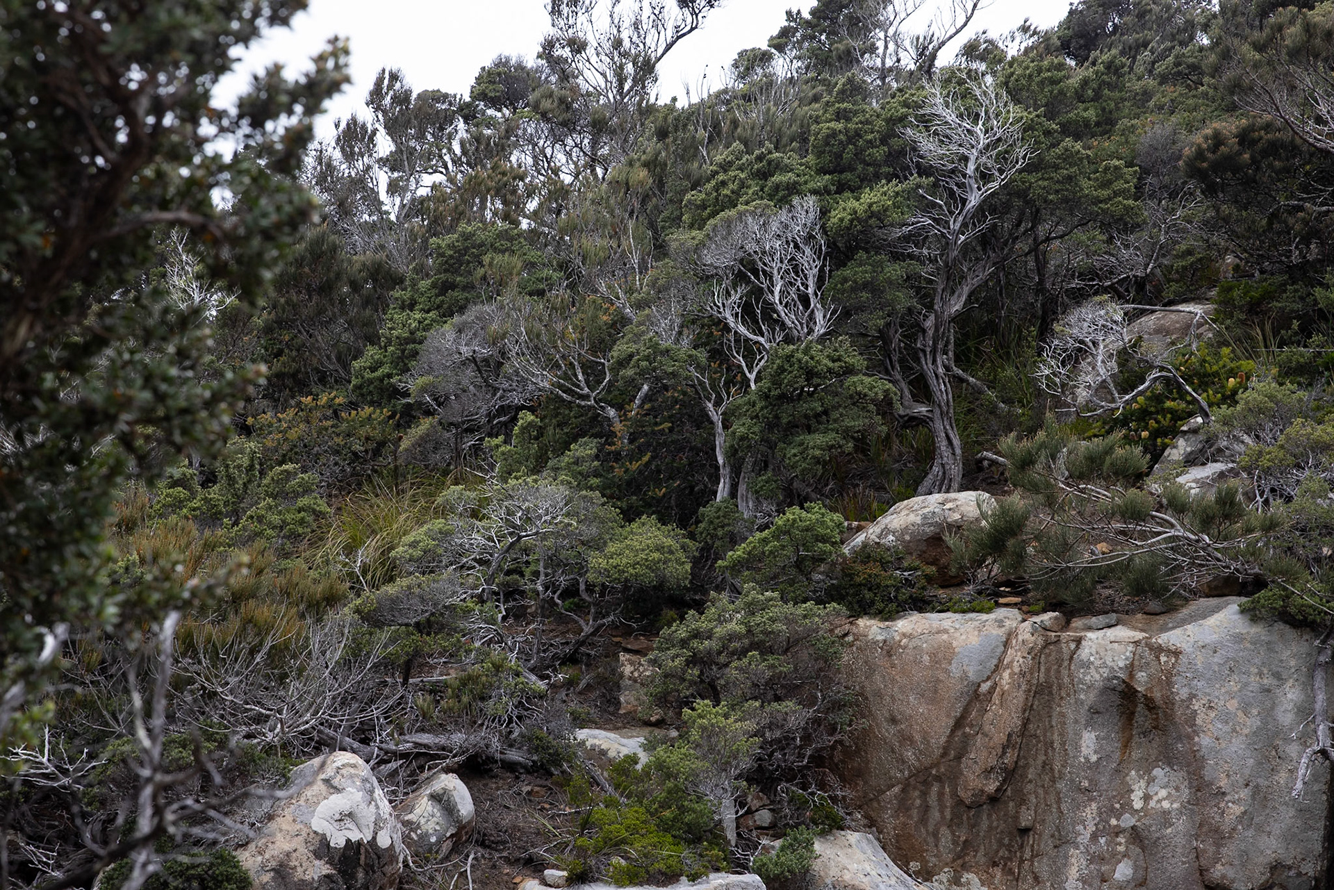 Three Capes Track, Cape Pillar Lodge to Cape Pillar and return, Tasmania
