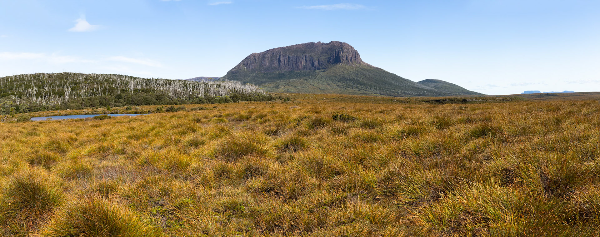 Barn Bluff to Pine Forest Moor, The Overland Track, Cradle Mountain- Lake St Clair National Park, Tasmania.