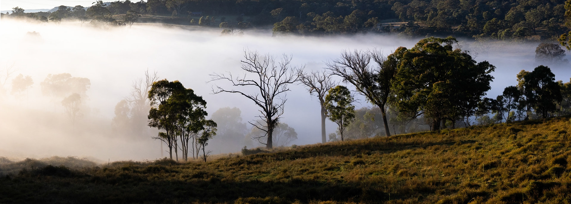 Turon Gates, New South Wales