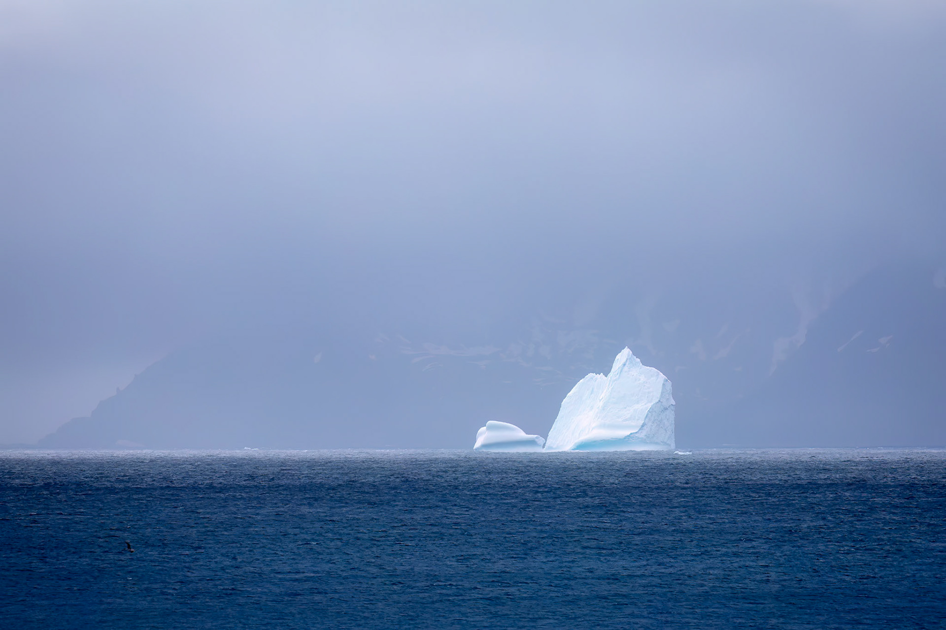 Rightwhale Bay, South Georgia