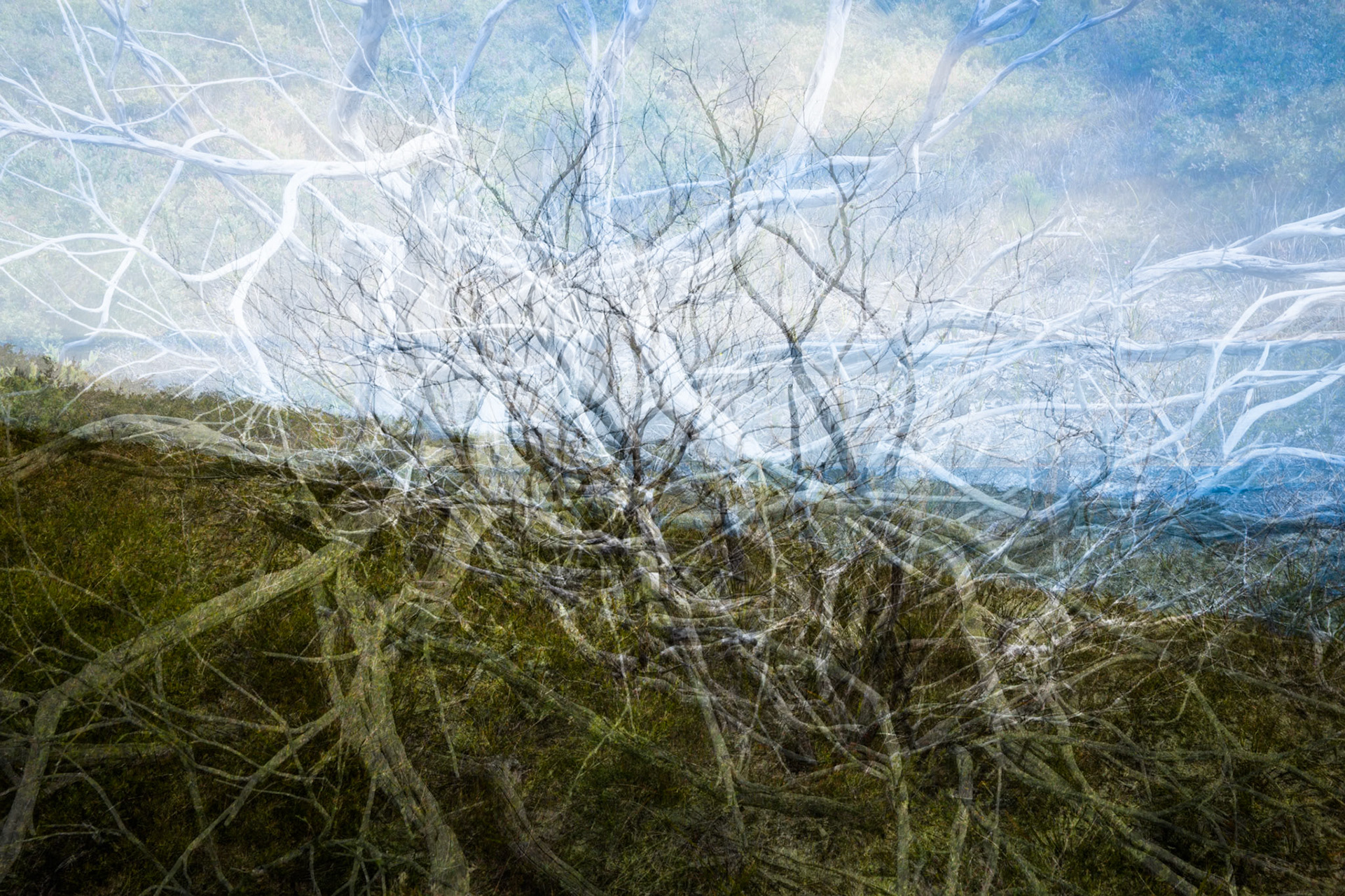 Tuesday am - Derby Saddle via Sparkes Lookout and Lookout Rocks to Tongue Point; and then on to Derby River for lunch.Tuesday pm - Lilly Pilly Gully carpark up to Tidal Overlook and on to Pillar Point then via Squeaky Beach and Picnic Beach to Picnic Beach carpark.