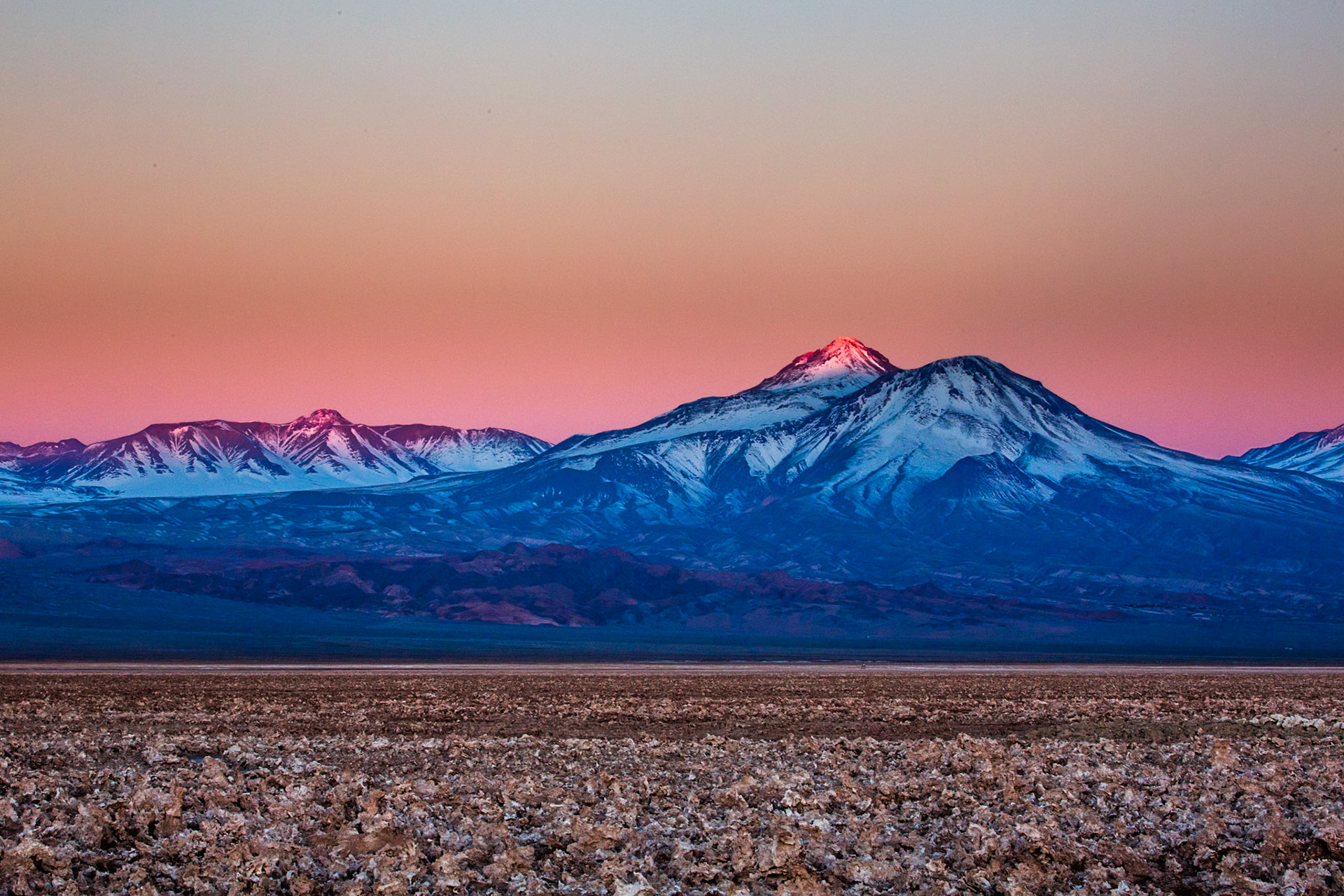 Salar de Atacama, Chaxa lagoon, Atacama, Chile