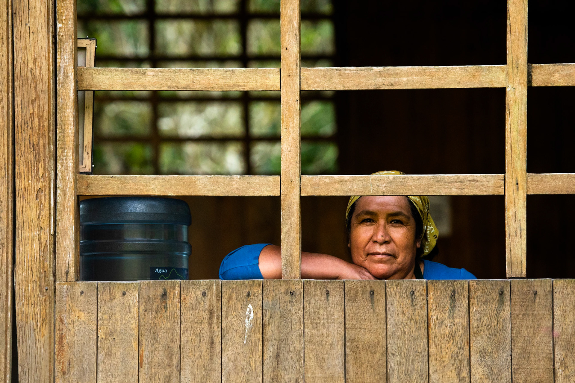 Amazonia Lodge, Manu National Park,  Peru