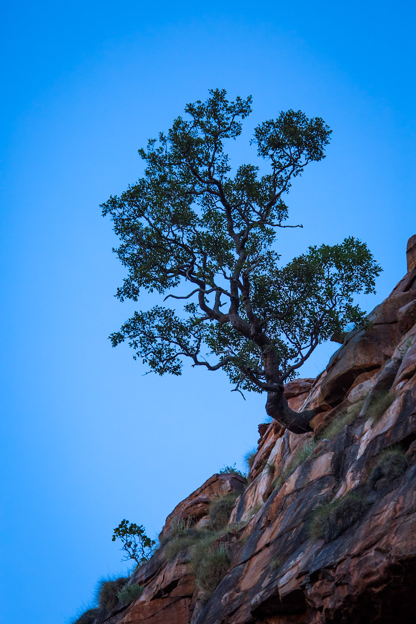 Chamberlain George, El Questro Wilderness Park, The Kimberly, Western Australia