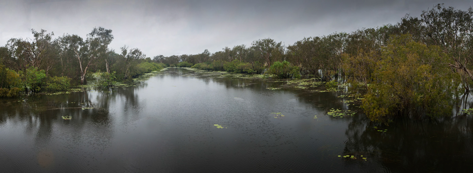 Wetlands and river en route from Kakadu to Litchfield, Northern Territory