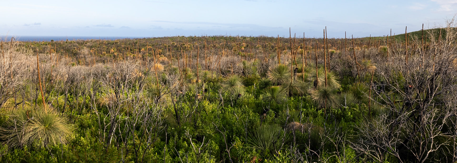Margaret river, West Australia