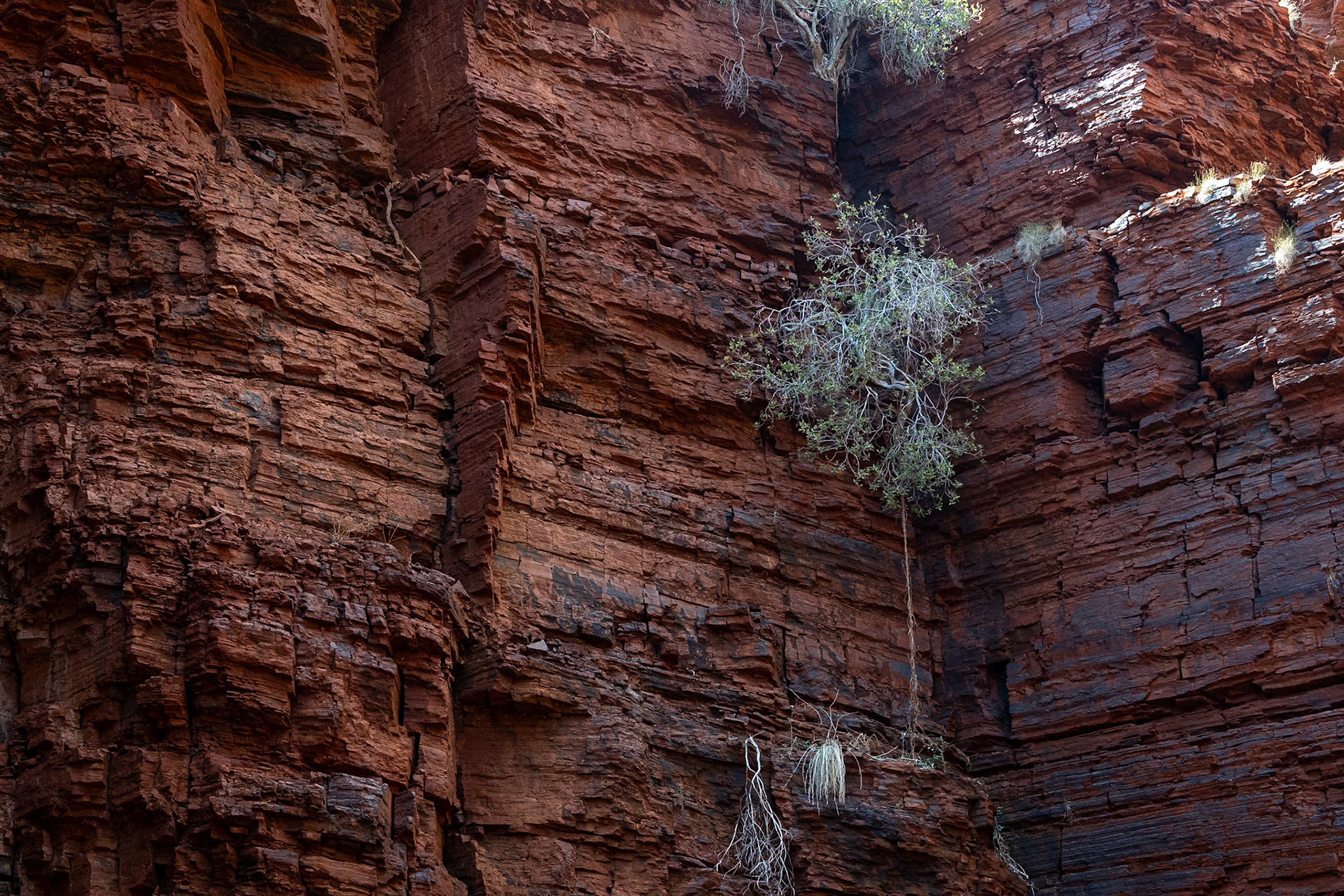 Handrail Pool, Weano Gorge, Karijini National Park, Western Australia