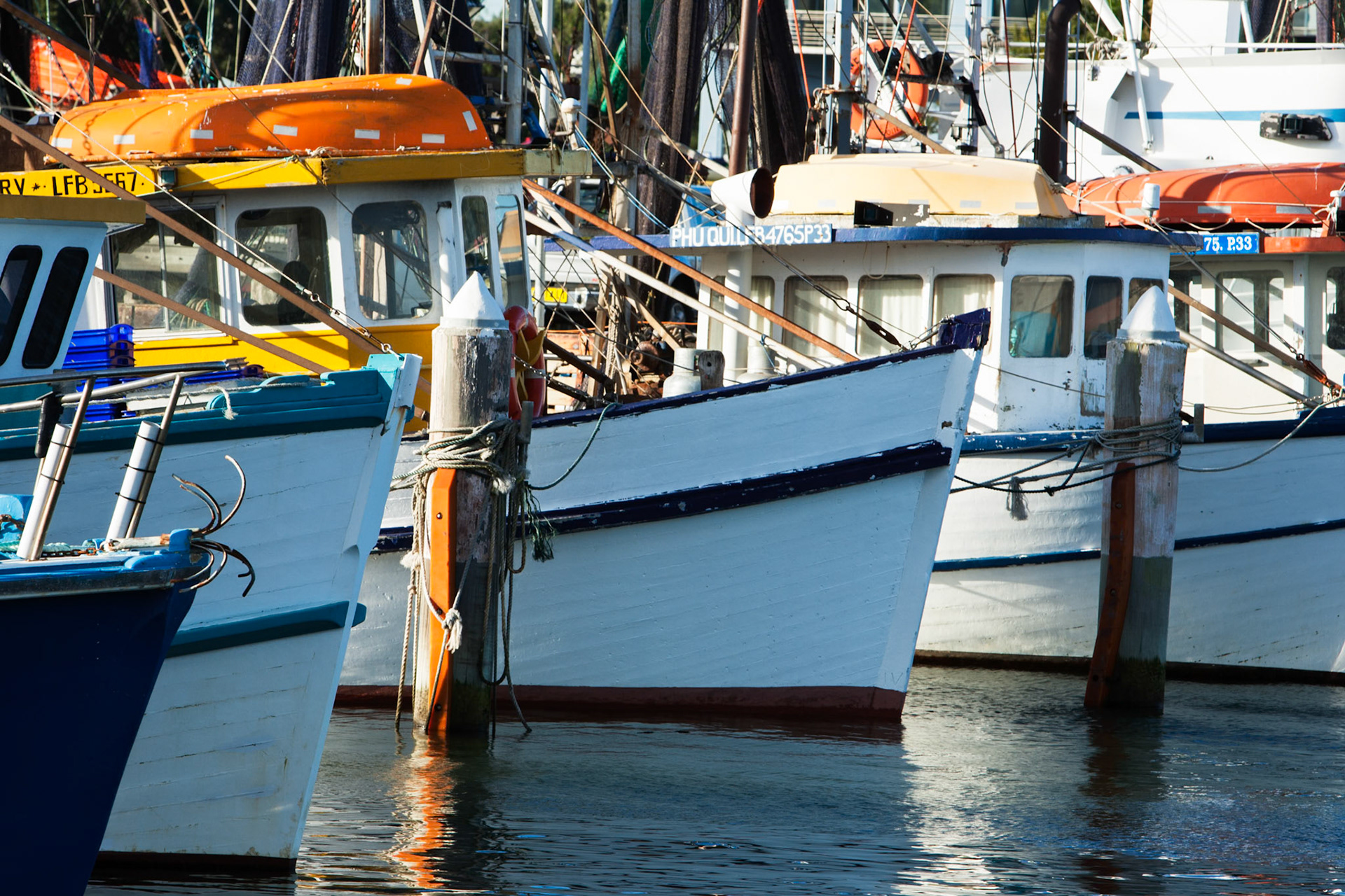 Fishing boats in Throsby Creek, Hunter river, Newcastle