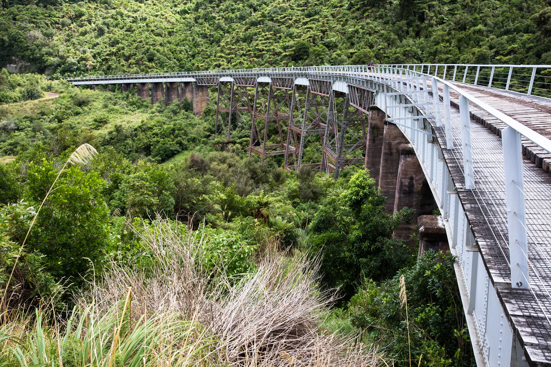 Old Coach Road, Tongariro, New Zealand