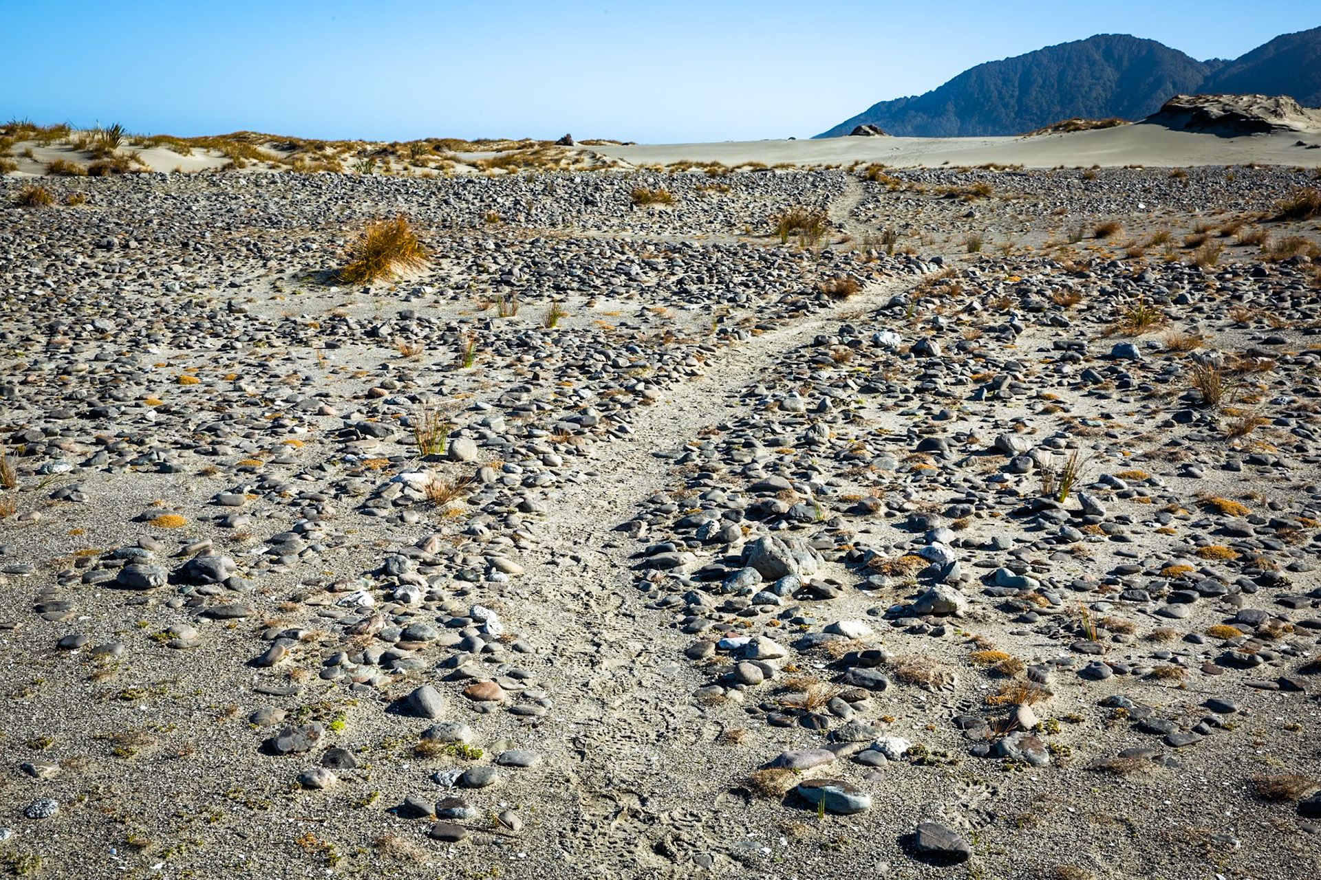 Hollyford Track, Martin's Bay, New Zealand