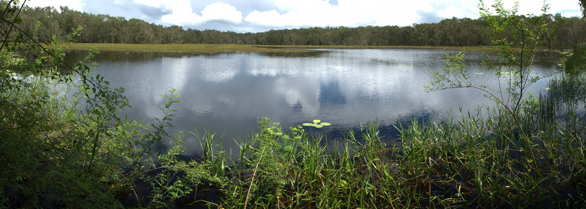 Wetlands, Territory Wildlife Park, Darwin, Northern Territory