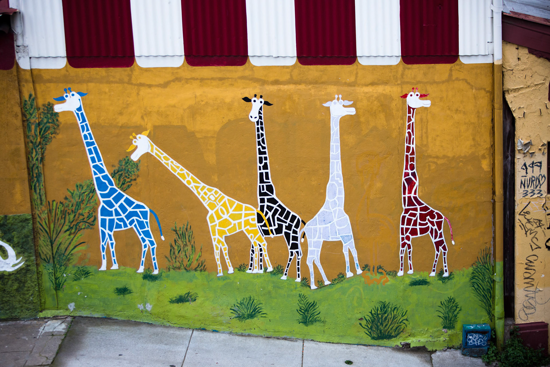 Street art, Valparaiso, Chile