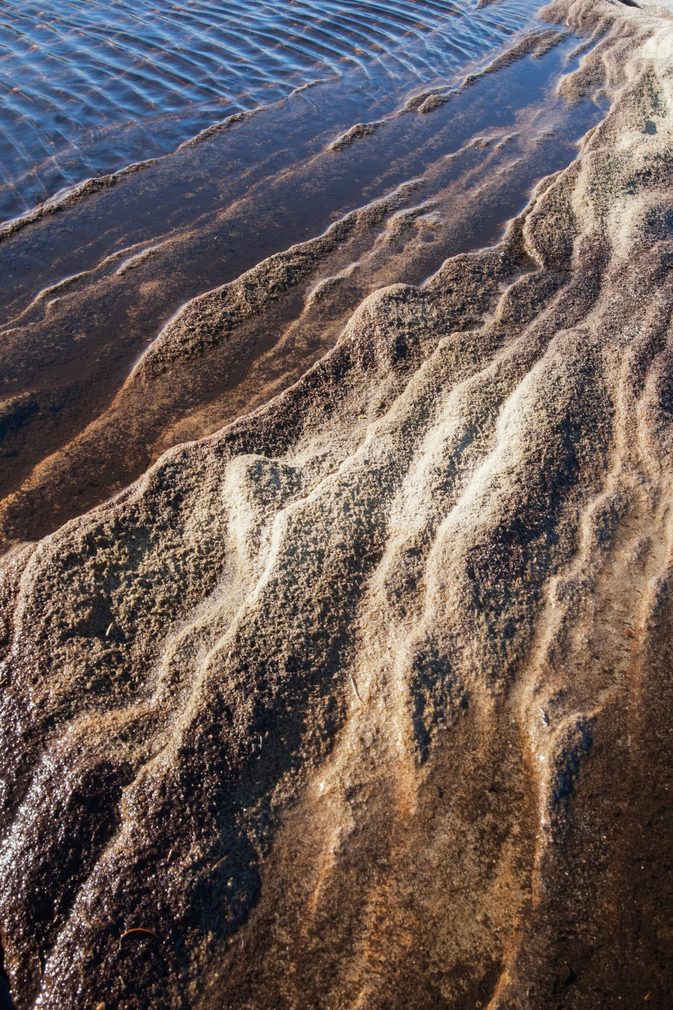 Weathering patterns in the rocks, Cape Solander, Kamay Botany Bay National Park