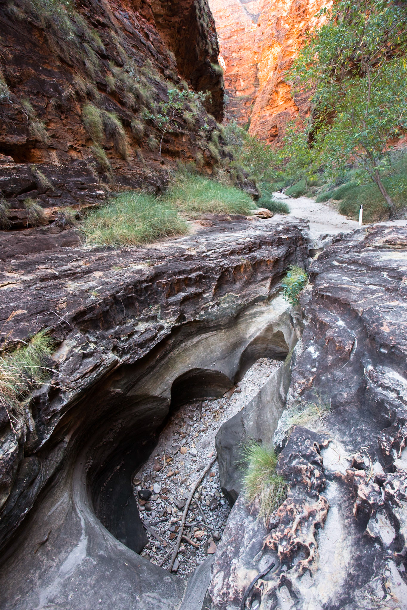 The Bungle Bungles, West Australia