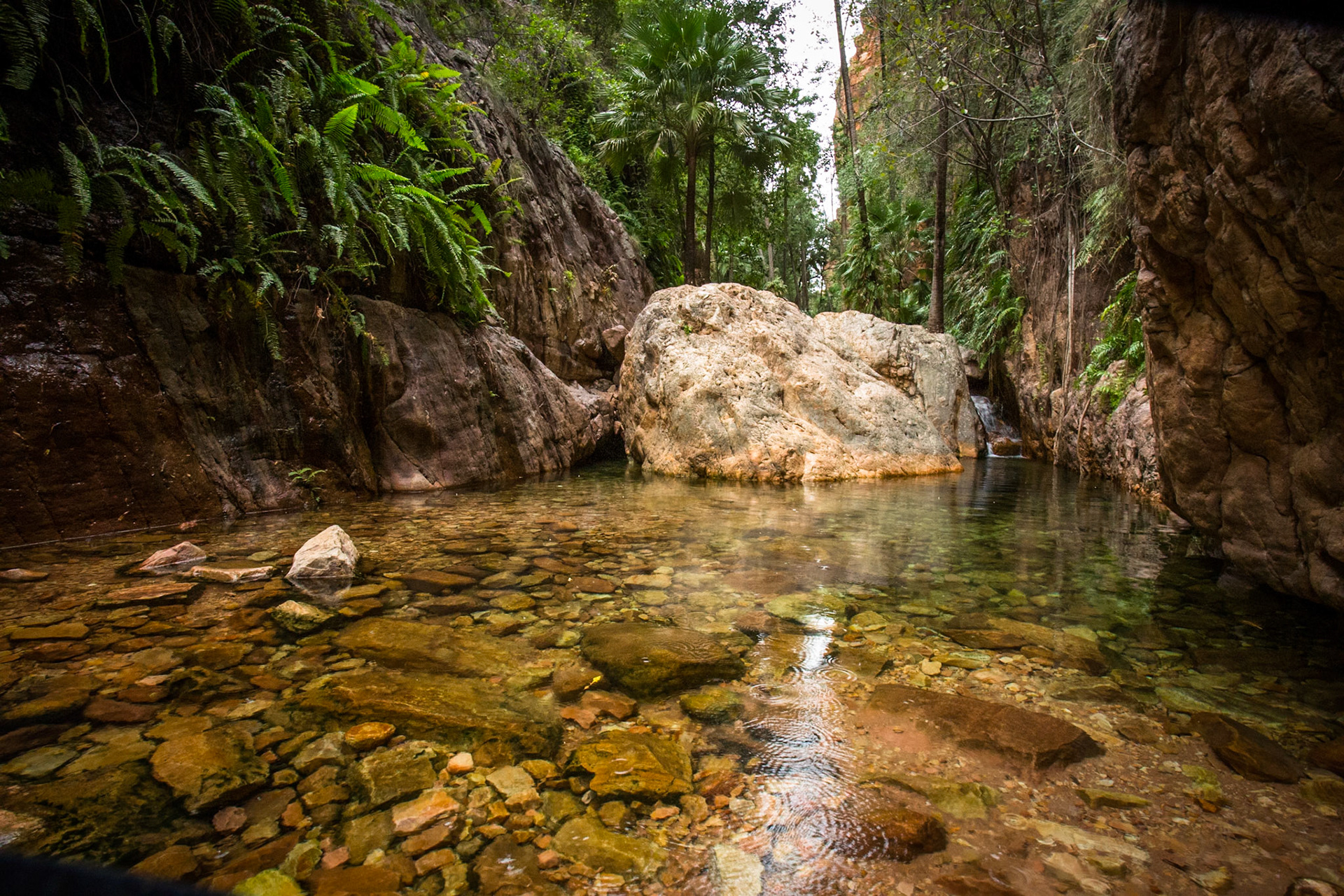 El Questro Gorge, El Questro Wilderness Park, The Kimberly, Western Australia
