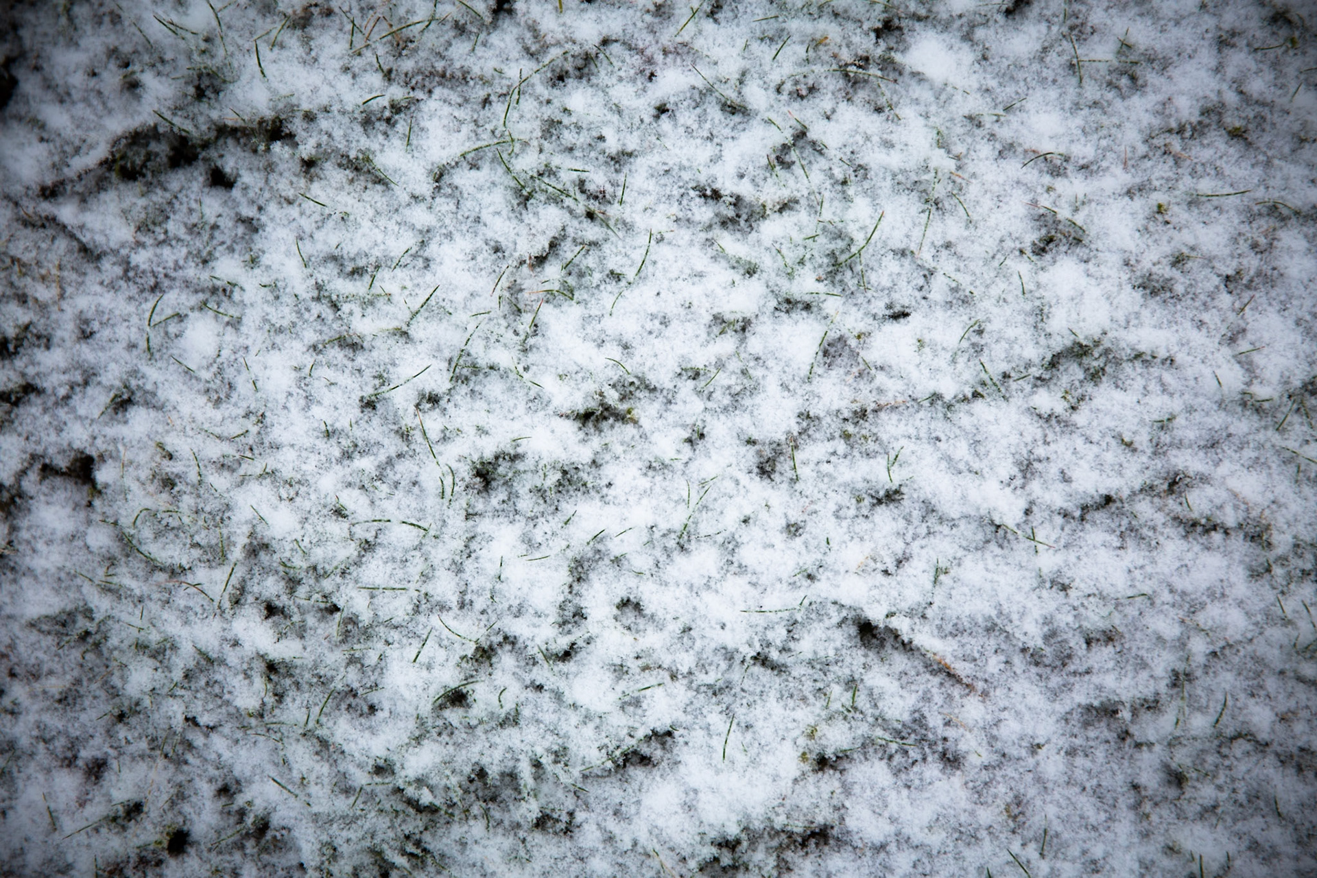 Glenella, Blackheath, Blue Mountains