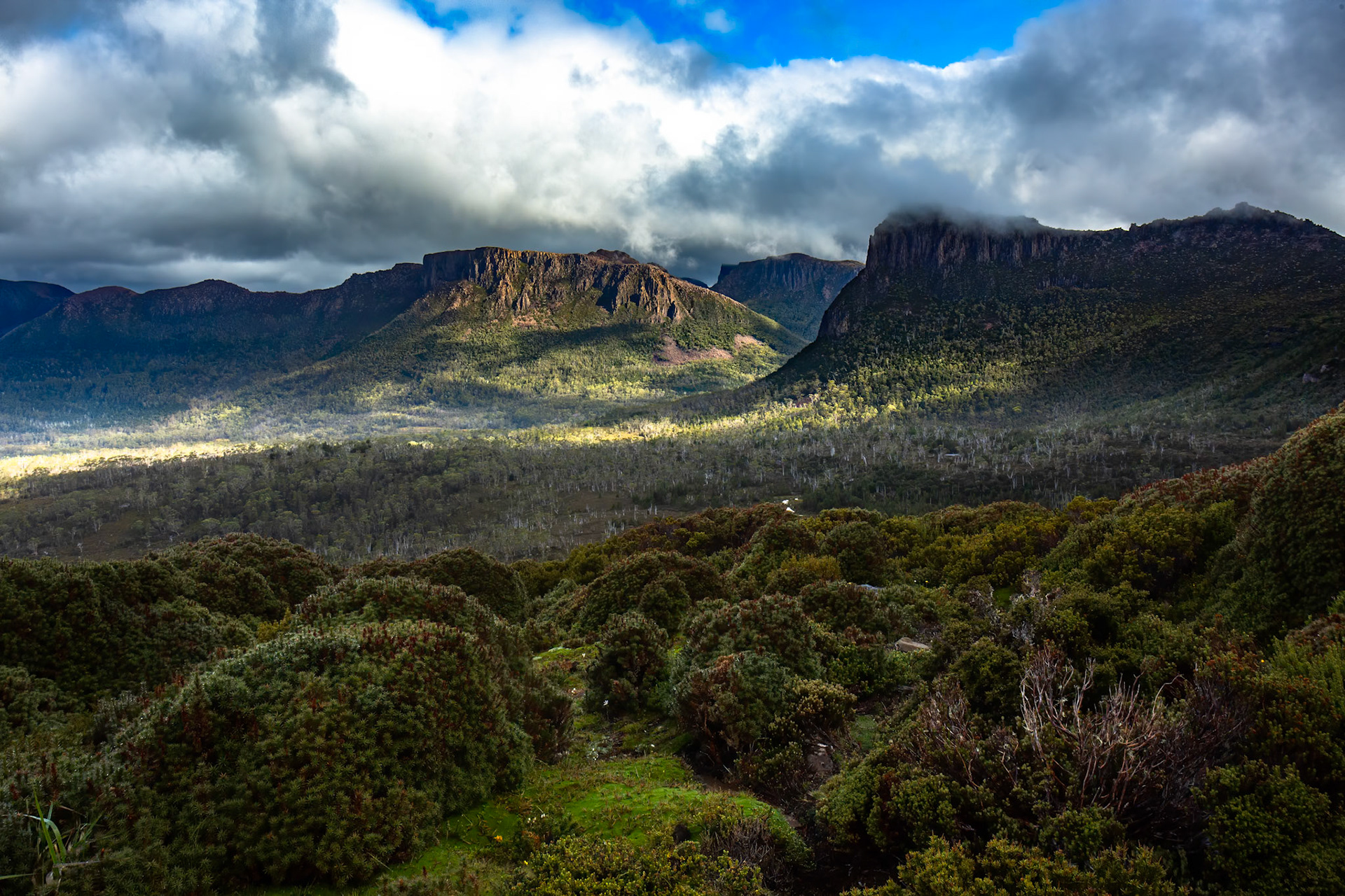 Pelion to Kia Ora, The Overland Track, Cradle Mountain- Lake St Clair National Park, Tasmania.