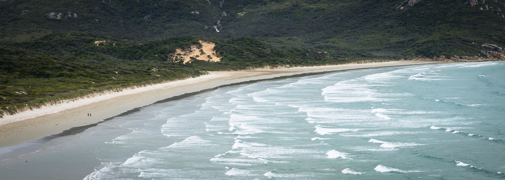 Circuit from Telegraph Saddle via Telegraph Junction to Oberon Bay (lunch), then Little Oberon Bay, Norman Point  and Norman Beach to Tidal River.