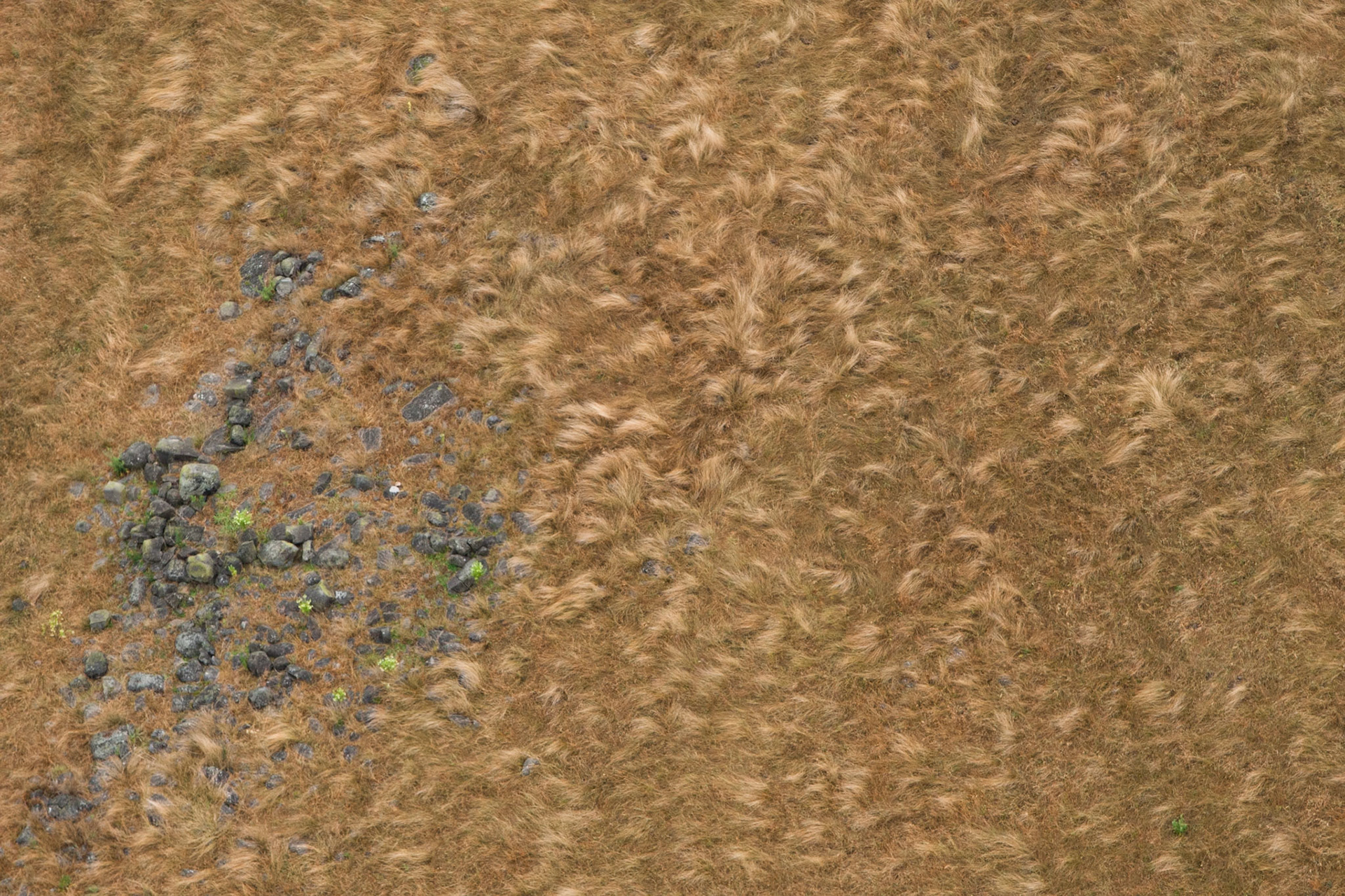 Hot air balloon ride in the Hunter Valley, New South Wales.