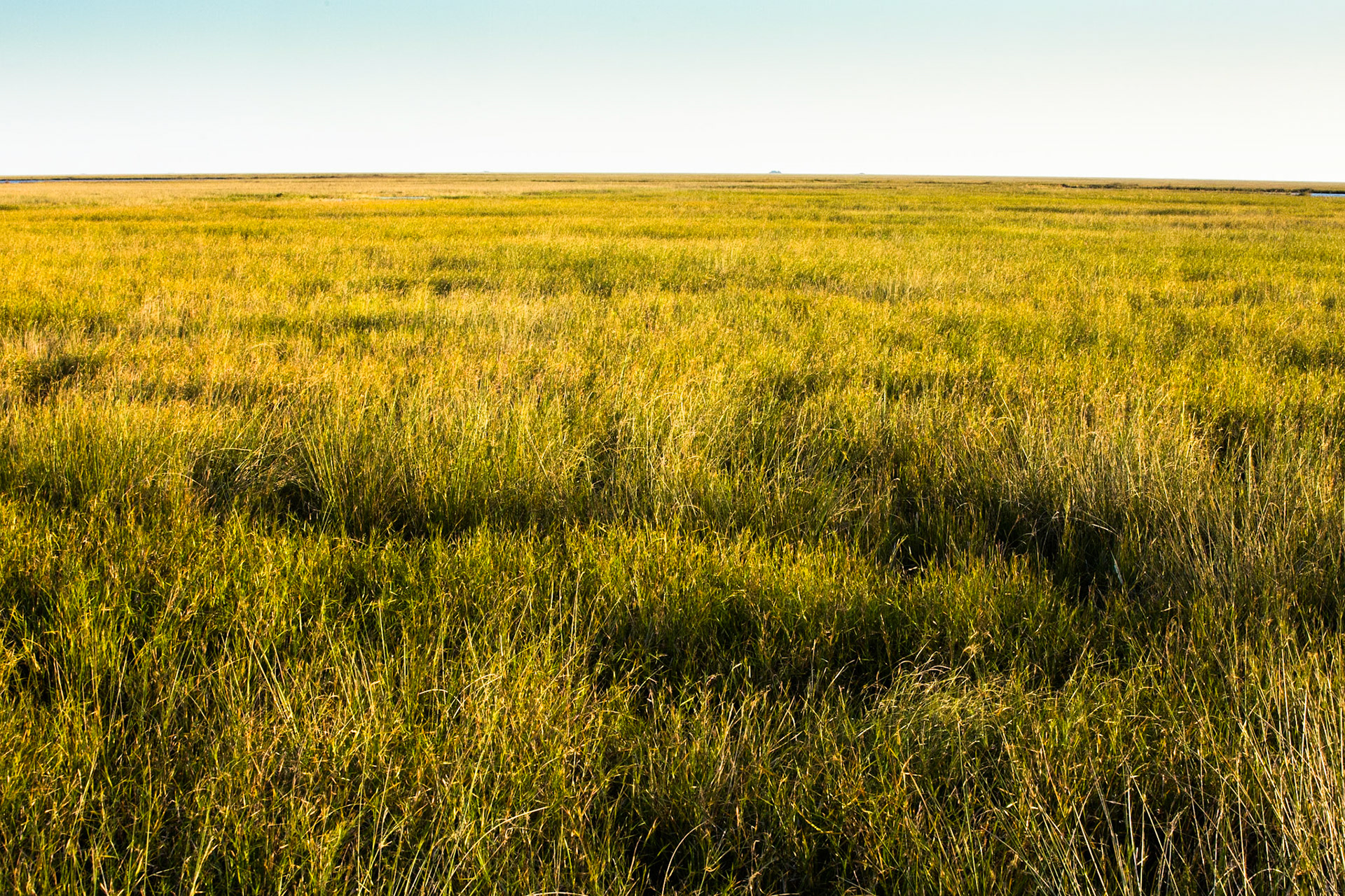 Puerto Valle Esteros, Ibera wetlands, Corrientes, Argentina