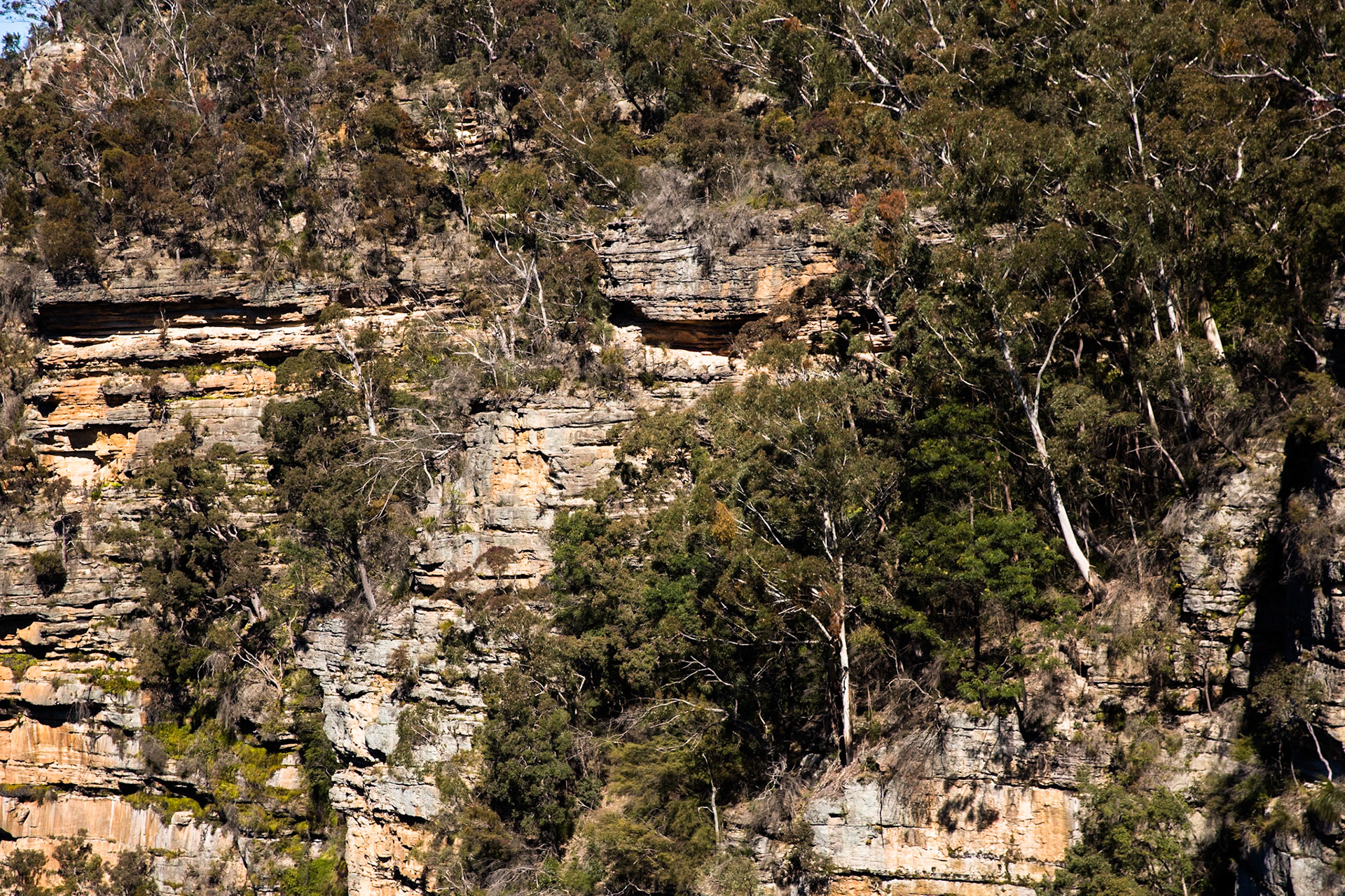 Started at the conservation hut and descended  the Valley of the Waters to Vera Falls. Tried unsuccessfully to find the route across to Hippocrene Falls.  Retraced our steps up to the conservation hut. Notes by Peter Watt.