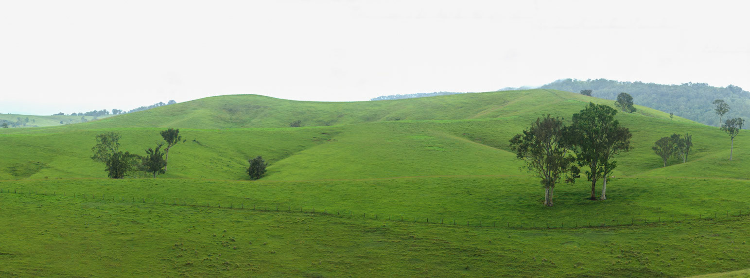 Trees and rolling hills, near Dungog, New South Wales