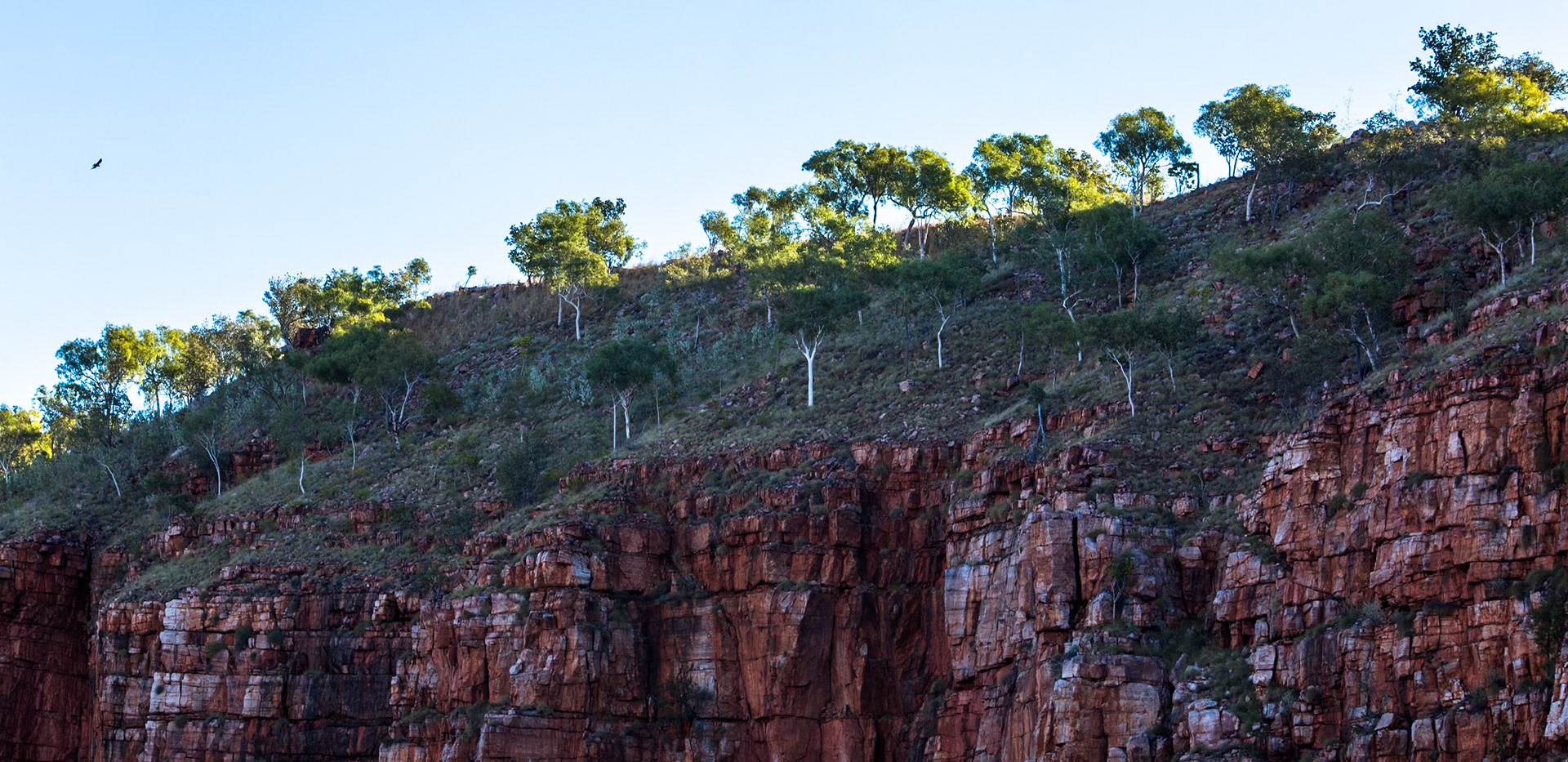 Chamberlain George, El Questro Wilderness Park, The Kimberly, Western Australia