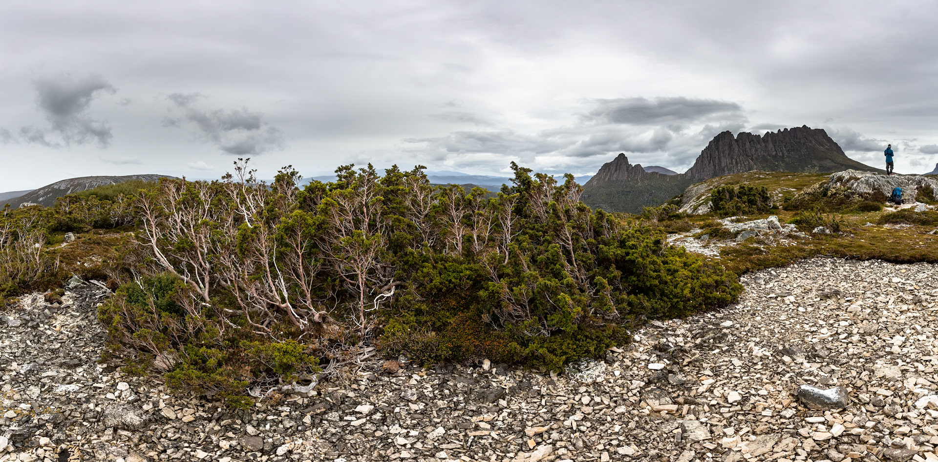 Waldheim to Barn Bluff, The Overland Track, Cradle Mountain- Lake St Clair National Park, Tasmania