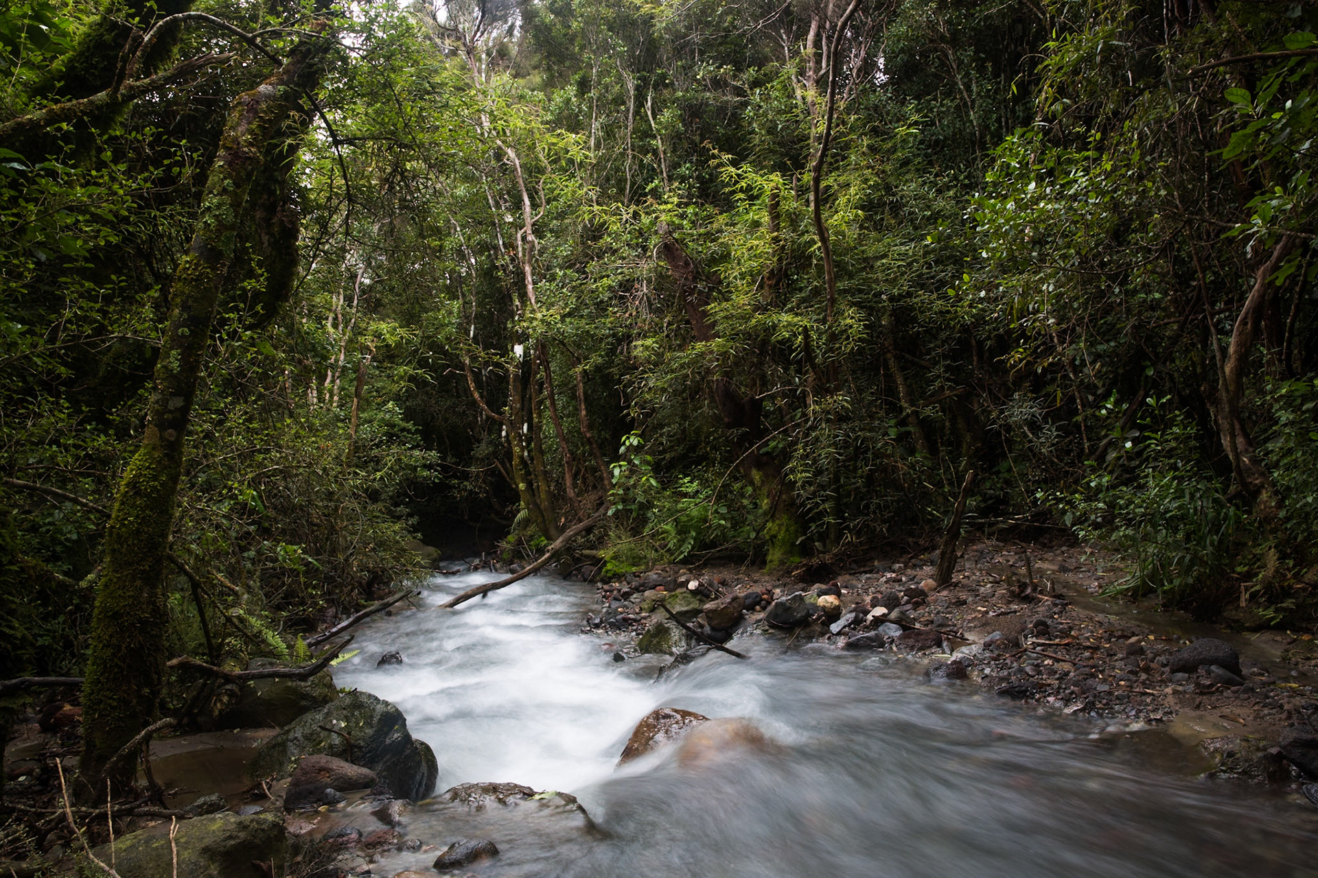 Tongariro Alpine Crossing, New Zealand