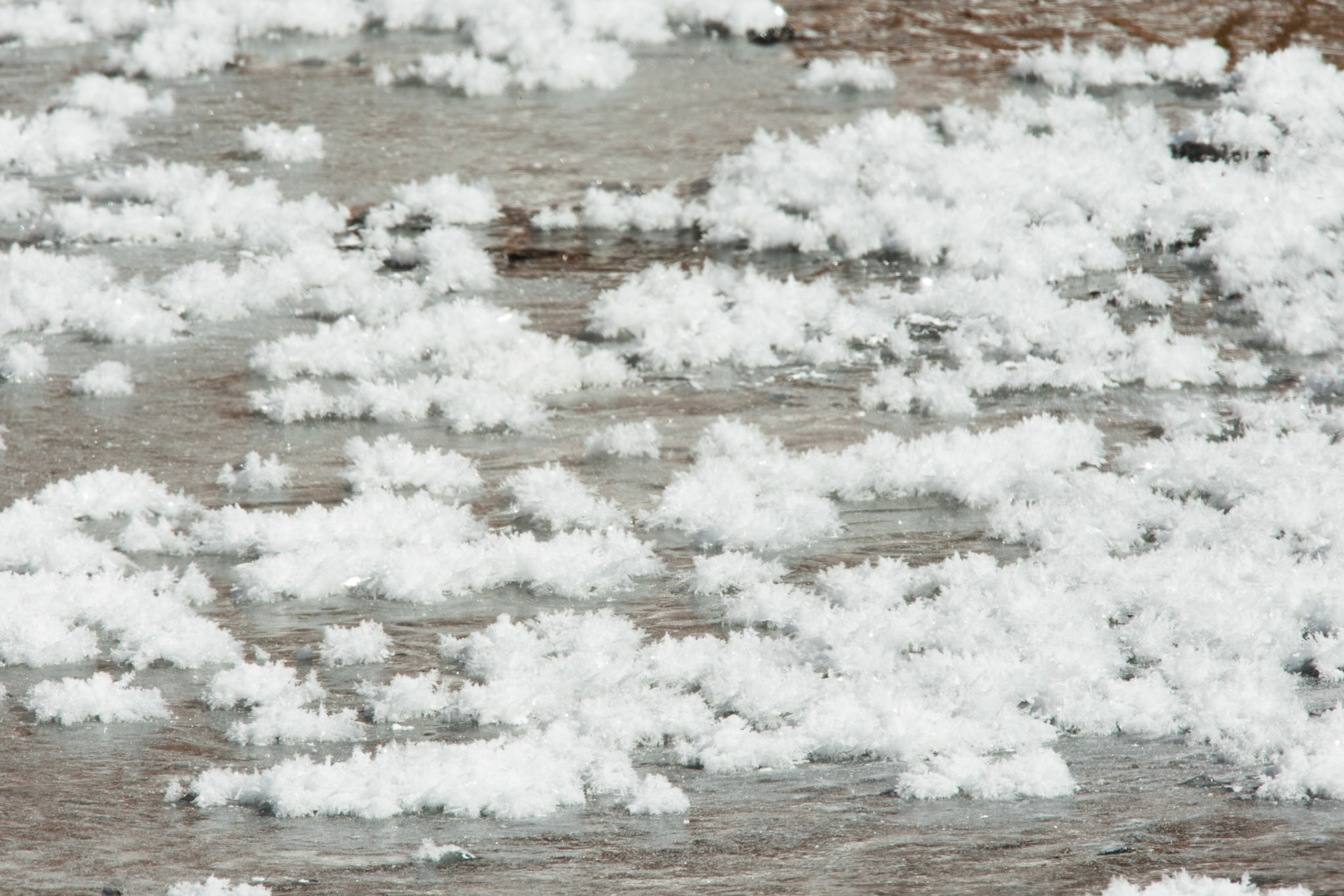 Altiplano wetlands, Atacama, Chile
