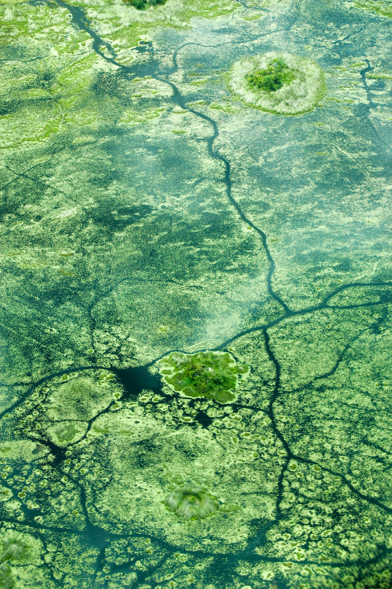 Xigera, Okavango Delta, Botswana