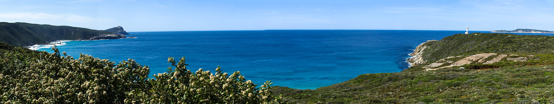 A perfect spot, blue seas, bay and whales