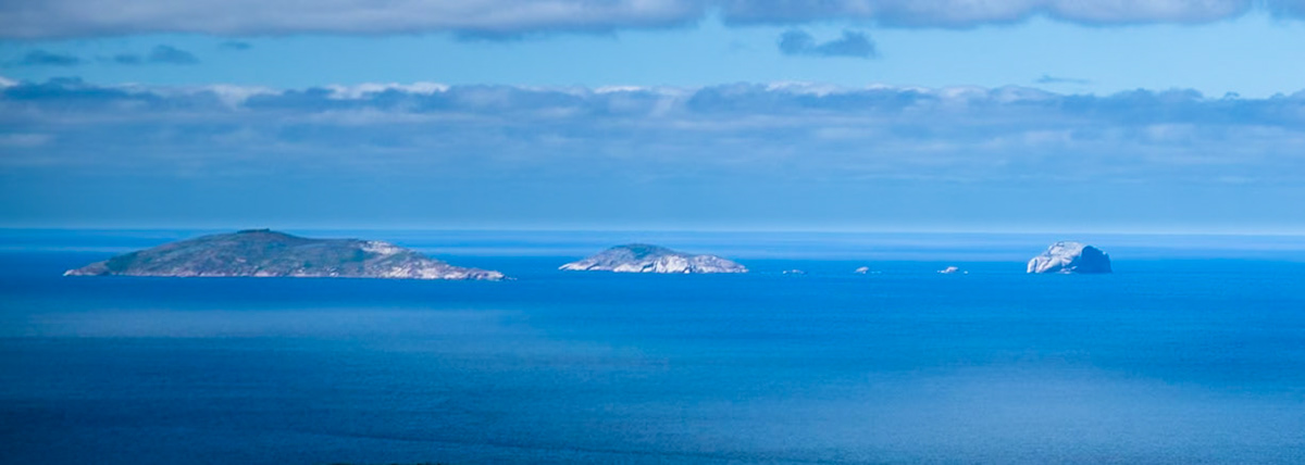 Tuesday am - Darby Saddle via Sparkes Lookout and Lookout Rocks to Tongue Point; and then on to Darby River for lunch.Tuesday pm - Lilly Pilly Gully carpark up to Tidal Overlook and on to Pillar Point then via Squeaky Beach and Picnic Beach to Picnic Beach carpark.