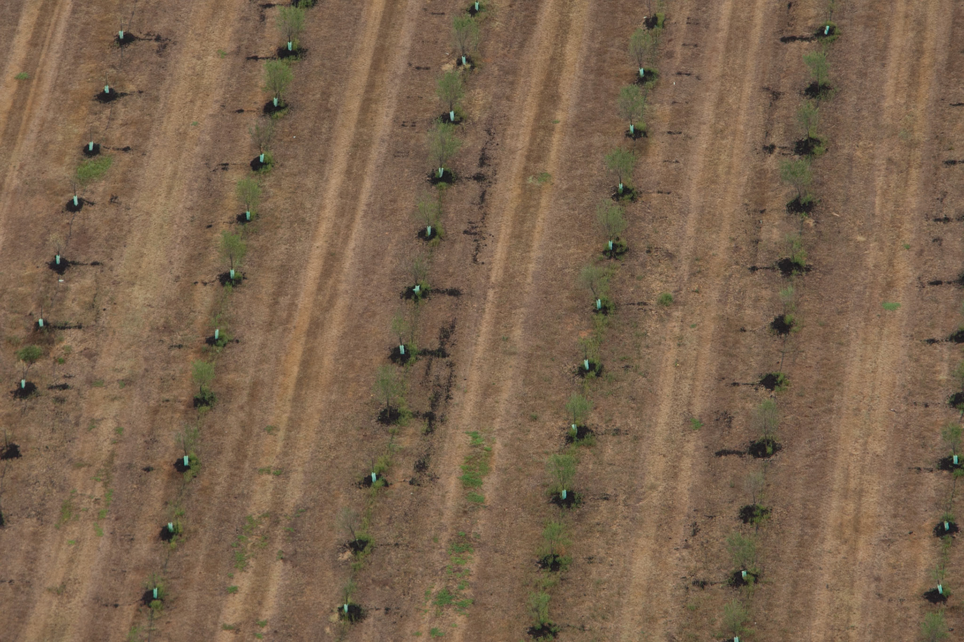 Hot air balloon ride in the Hunter Valley, New South Wales.