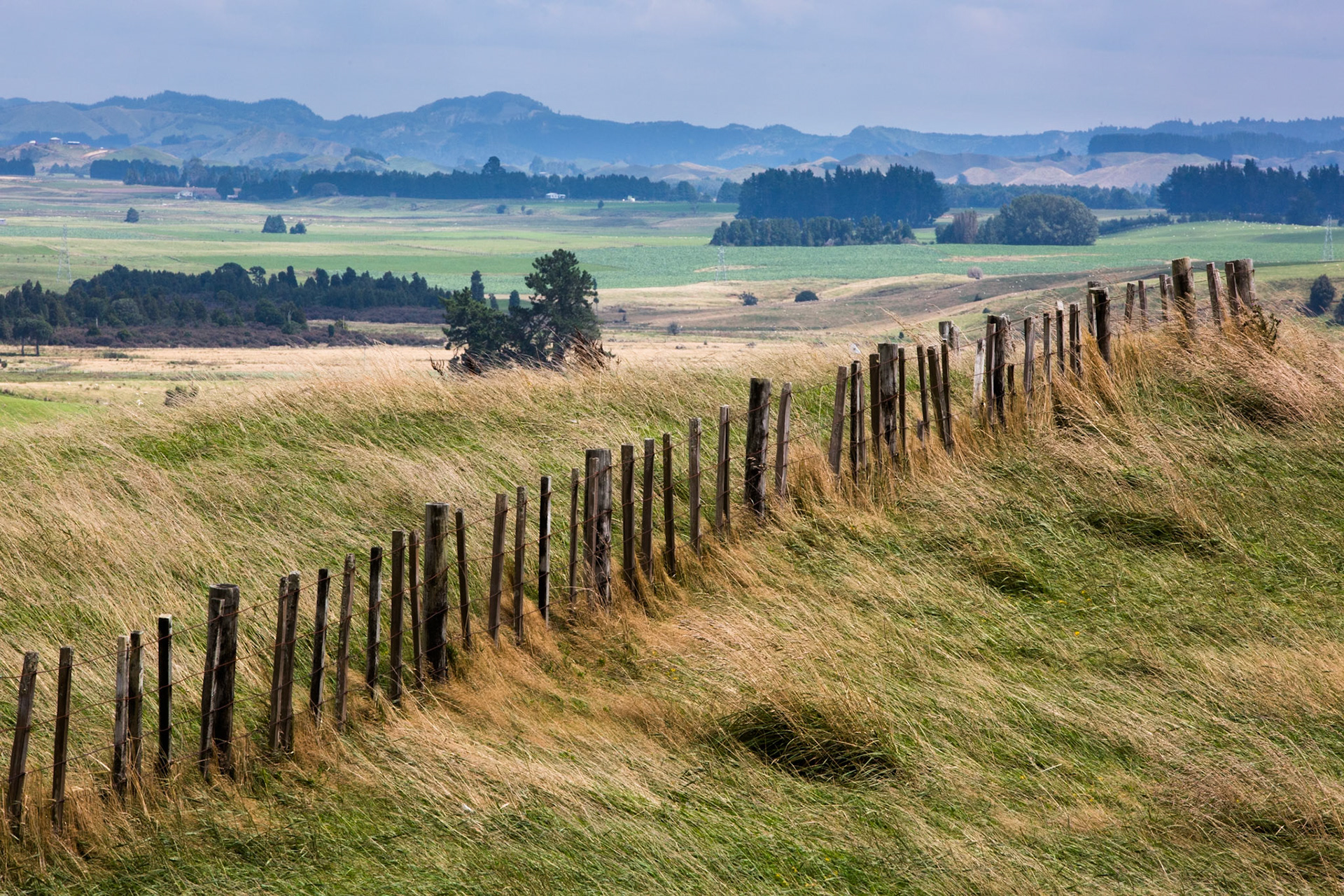 Old Coach Road, Tongariro, New Zealand