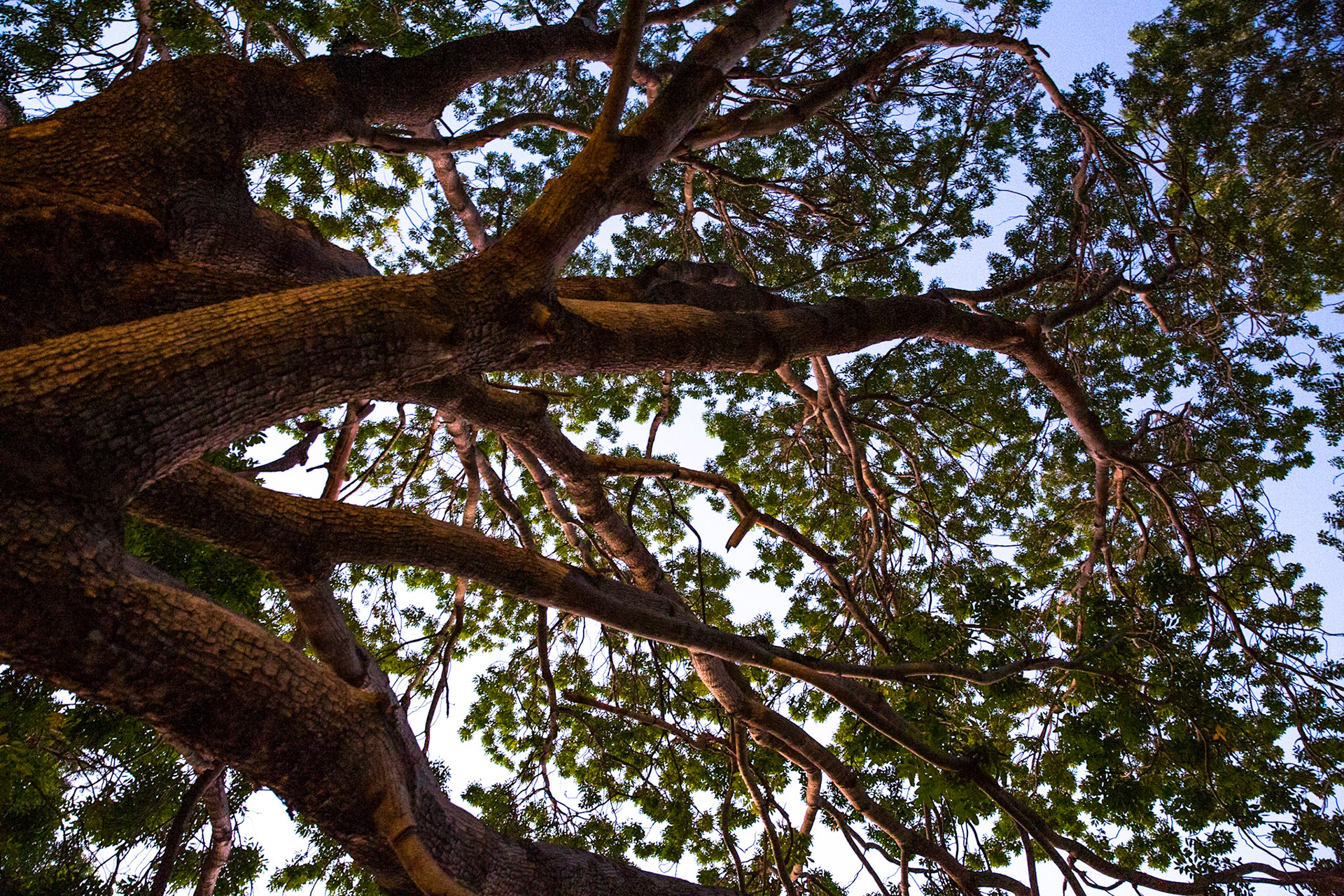 Views from the homestead, El Questro Wilderness Park, The Kimberly, Western Australia