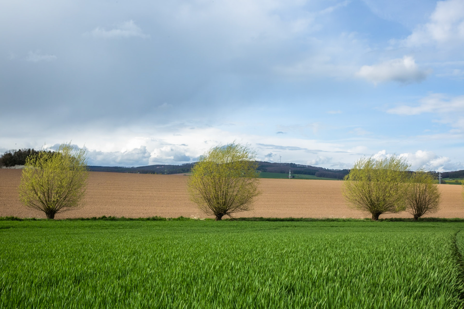 Das Hohe Feld, in an area Gemeinderhaus in Bega, now an open field on a hill that is no doubt the origin of our surname. Schimshon Bega (Samson ben Isaac) and his son Isaac ben Samson lived in Bega before moving to Lemgo and acquiring the surname Hochfeld.