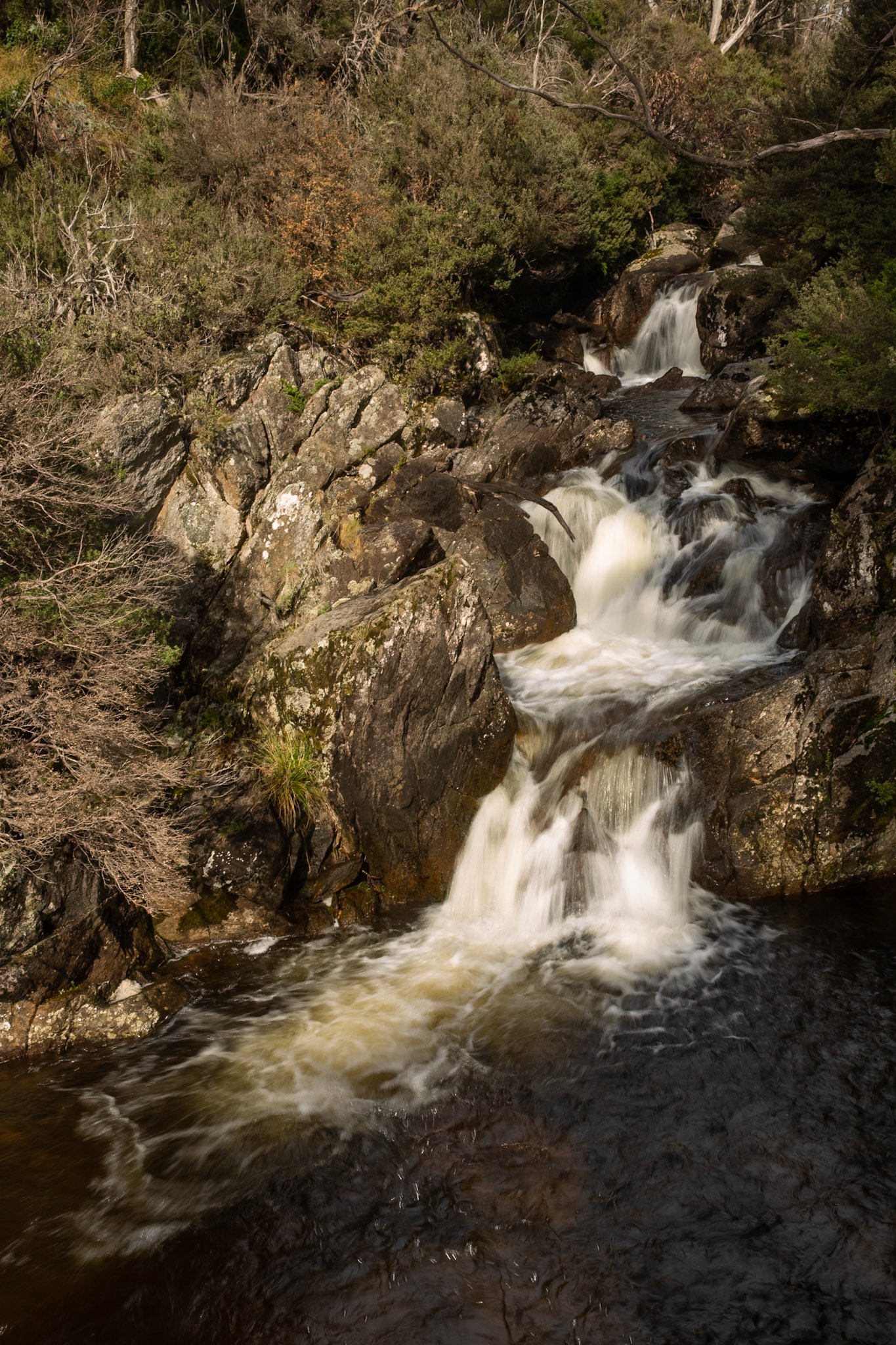 Thredbo to the cablecar and return, Mount Kosciuszko National Park, Snowy Mountains, New South Wales