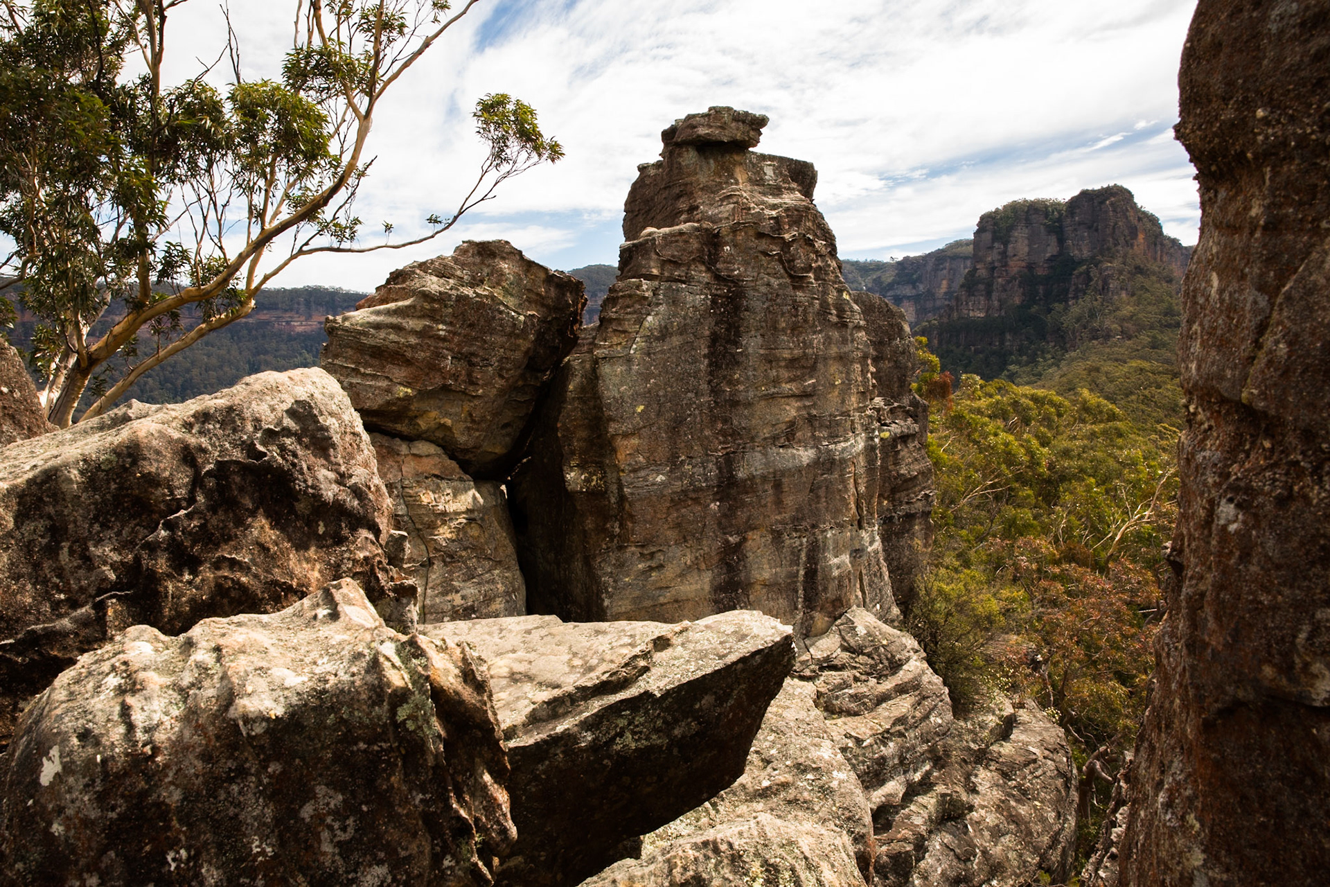 Started at the Scenic Railway and descended via Furber Steps to Federal Pass. Traversed Federal Pass past the lower station of Scenic Railway; through the landslide area; past the bottom of Golden Stairs as far as Ruined Castle.  Lunch on top Ruined Castle then completed a circuit around Ruined Castle back to Federal Pass.  Retraced our steps to Golden Stairs which we took up to Narrow Neck. Notes by Peter Watt.