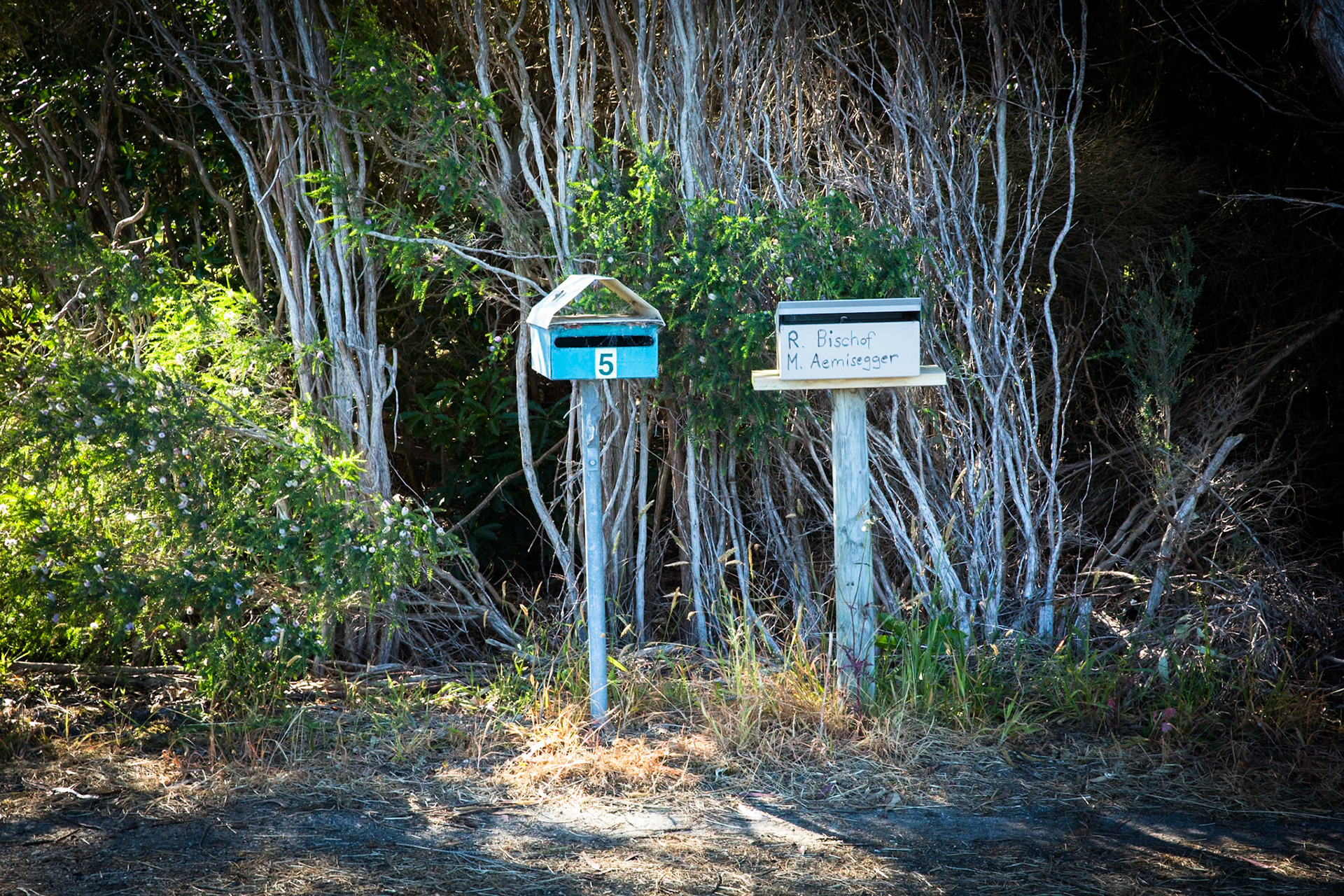 Tuesday am - Darby Saddle via Sparkes Lookout and Lookout Rocks to Tongue Point; and then on to Darby River for lunch.Tuesday pm - Lilly Pilly Gully carpark up to Tidal Overlook and on to Pillar Point then via Squeaky Beach and Picnic Beach to Picnic Beach carpark.