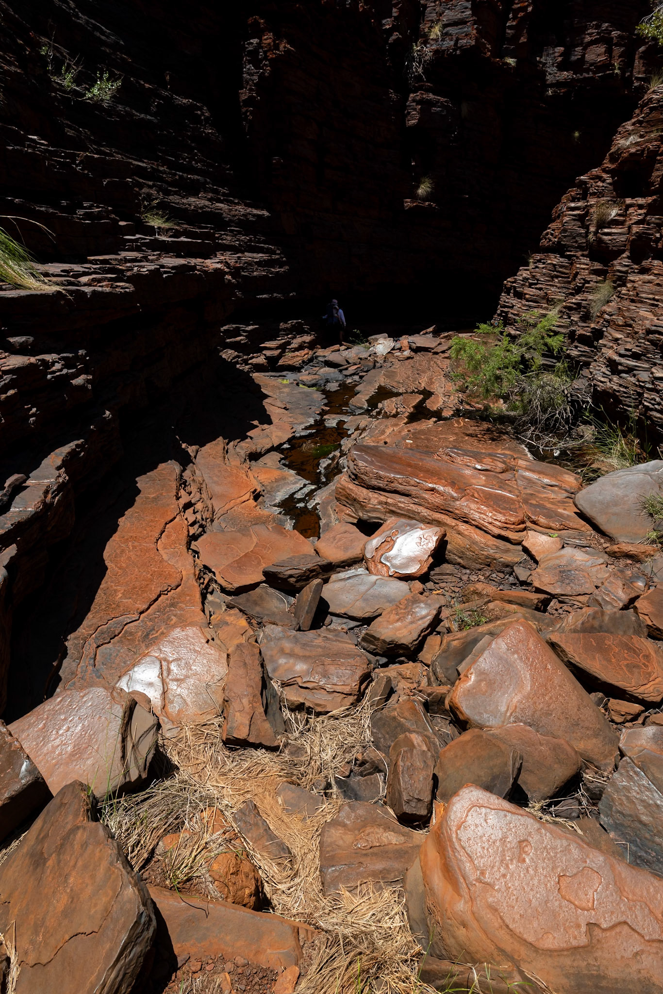 Kermit's Pool, Hancock Gorge, Karijini National Park, Western Australia