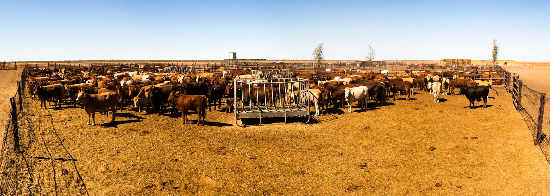 Cattle Station, en route to Mount Isa, Queensland, Australia