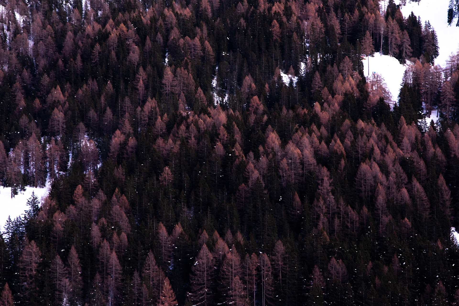 La Selva di val Gardena, Dolomites, Italy
