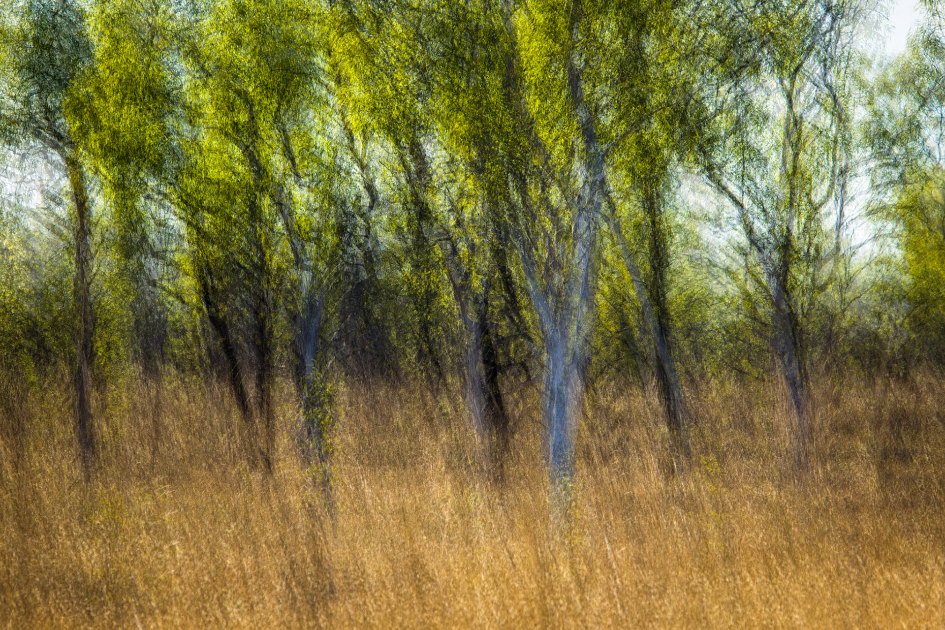Broome, West Australia