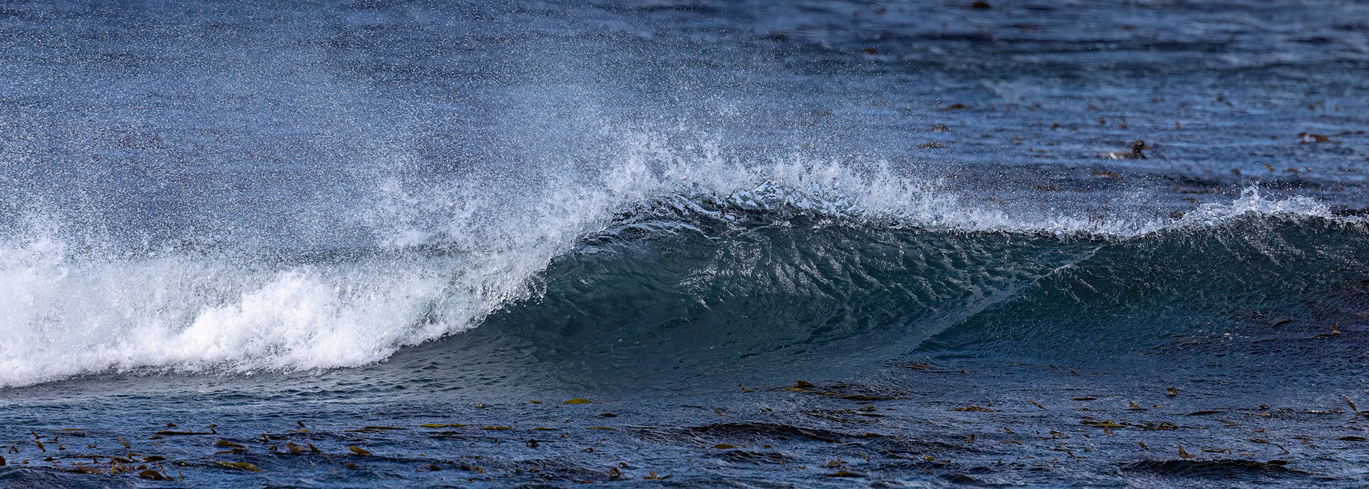 Landscape, Bleaker Island, Falkland Islands