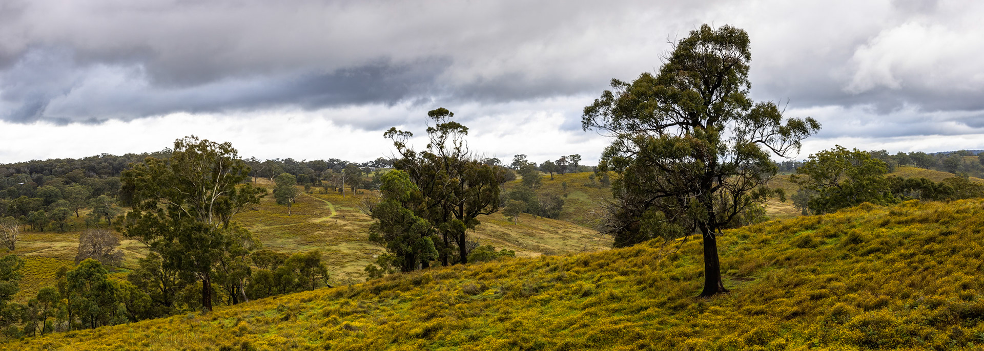 Turon Gates, New South Wales