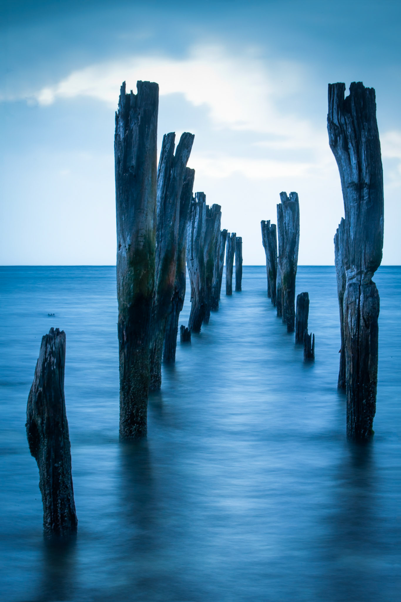 Old pier, Reeves Point, Kangaroo Island at dawn