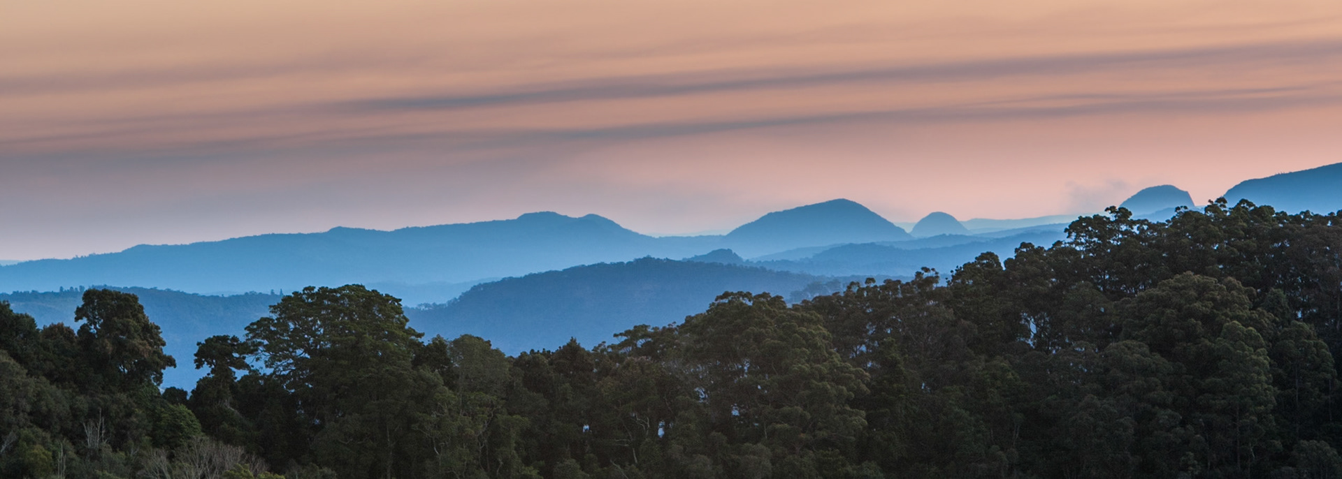 Lamington National Park, Queensland