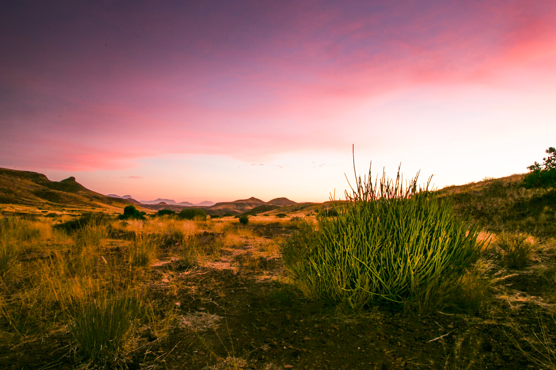 Swakopmund to Rhino Camp in Damaraland